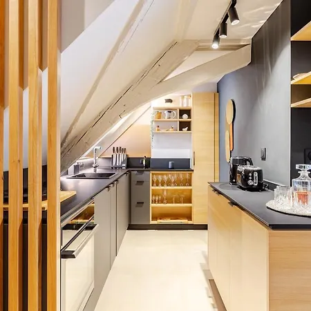 Апартаменты Stras'Loft - Hypercentre - Climatisation - Haut De Gamme - Cathedrale - Confort - Calme